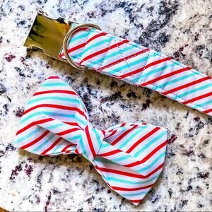 NWT • Red + Mint Striped Dog Bow + Collar